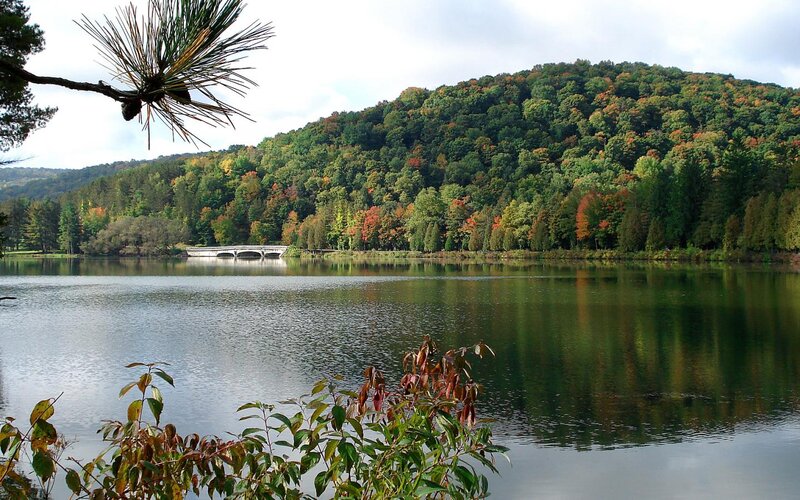 Lake with Forested Hill