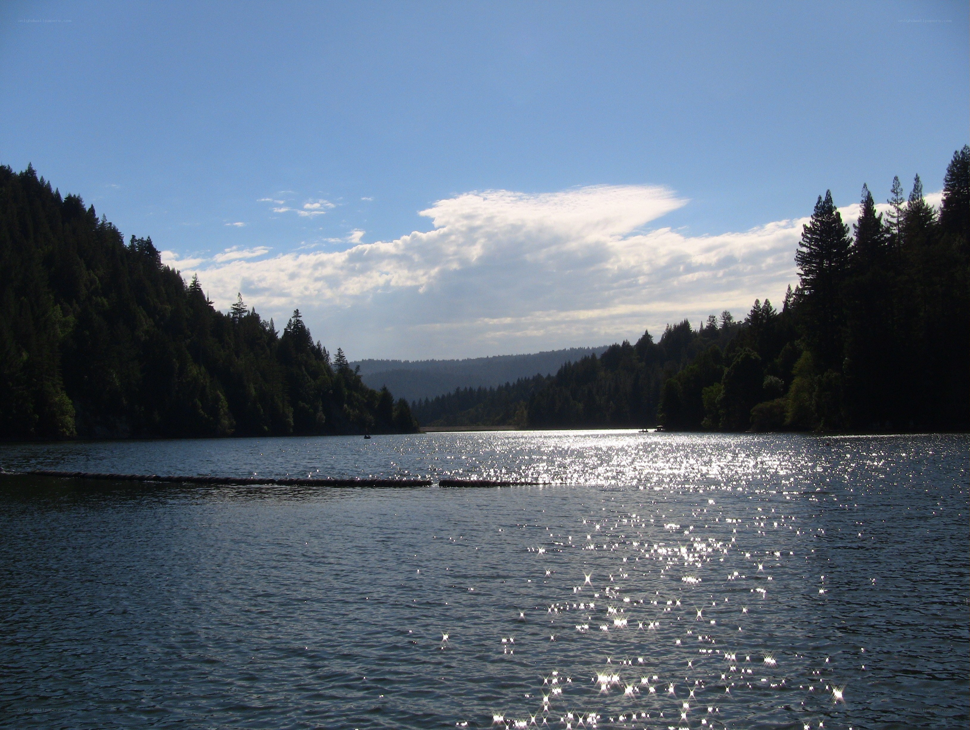 Lake with forested hills