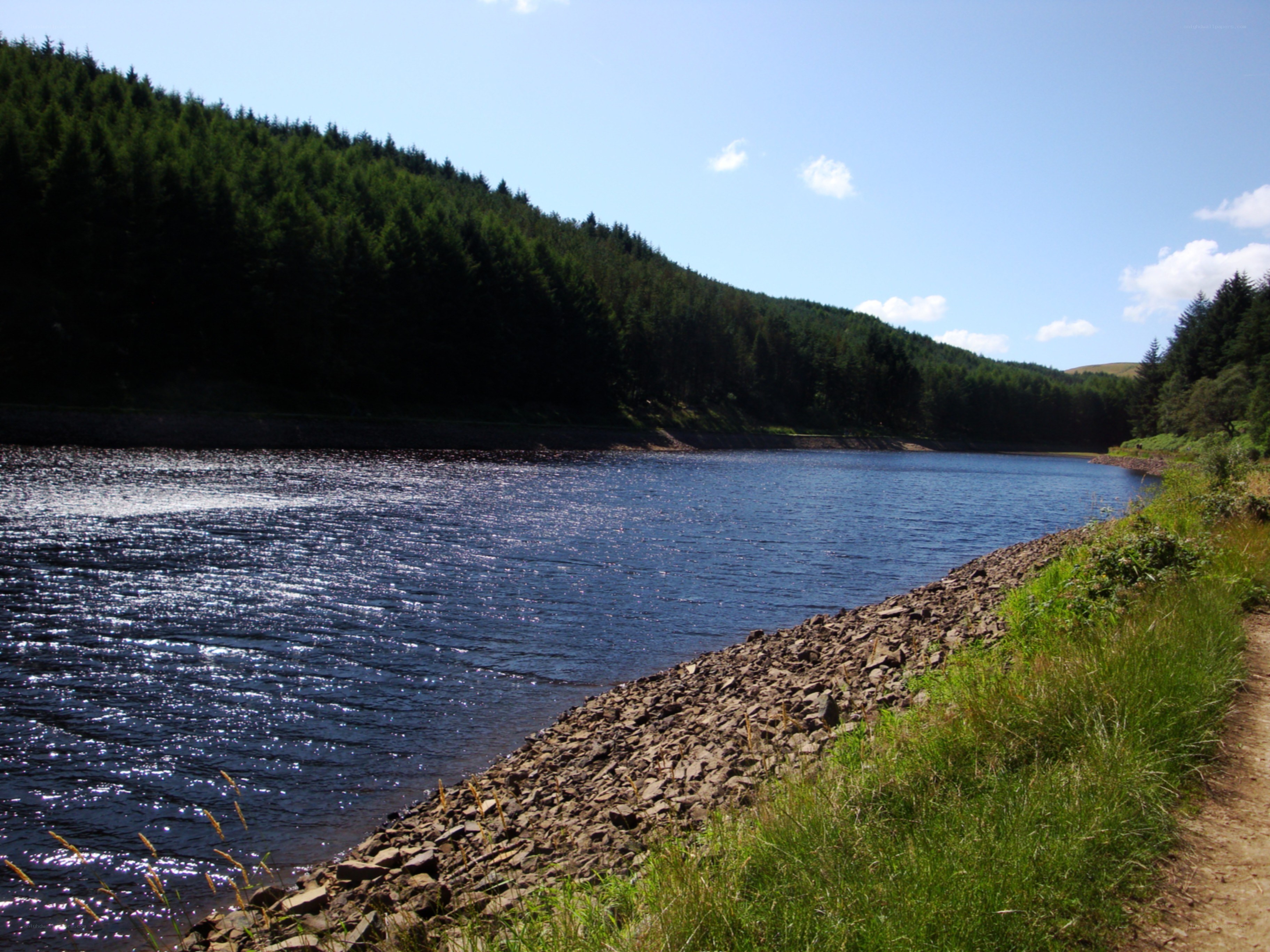 Lake with forested hills