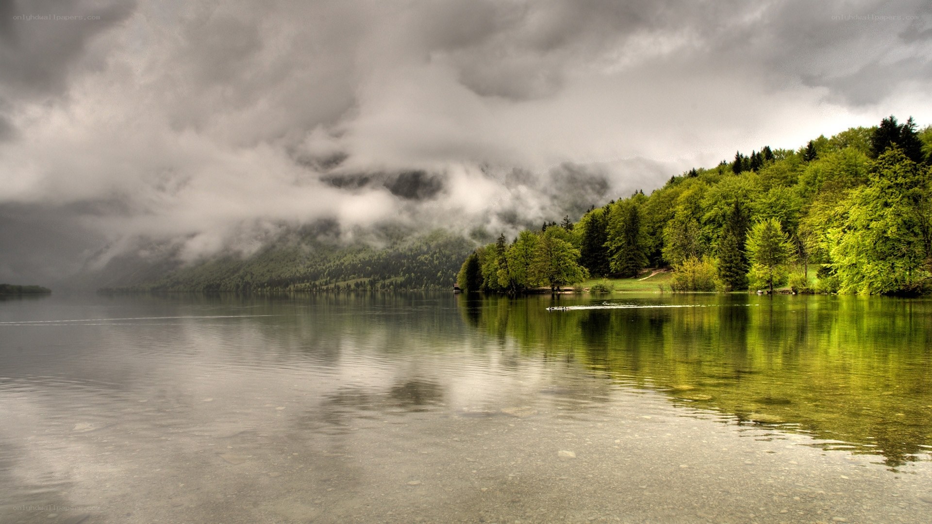 Lake with forested hills