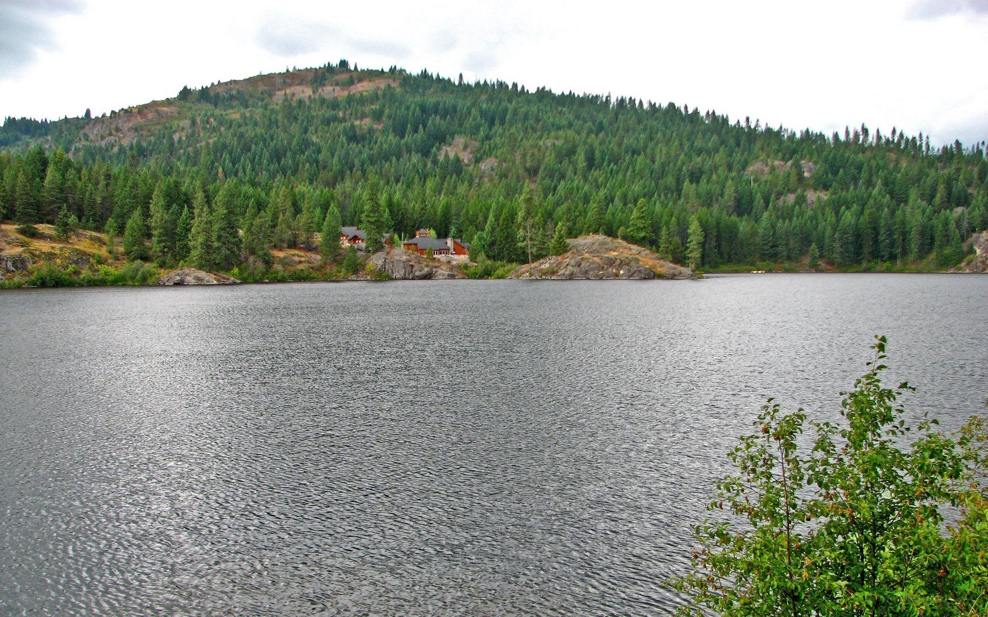 Lake with forested hills