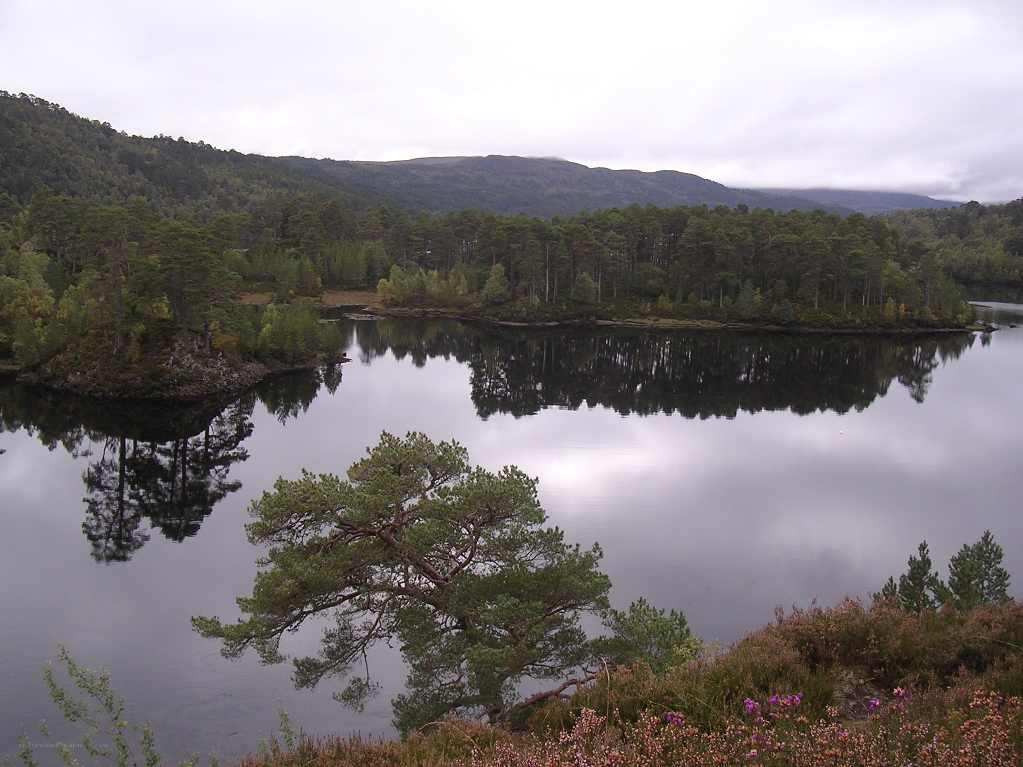 Lake with forested hills