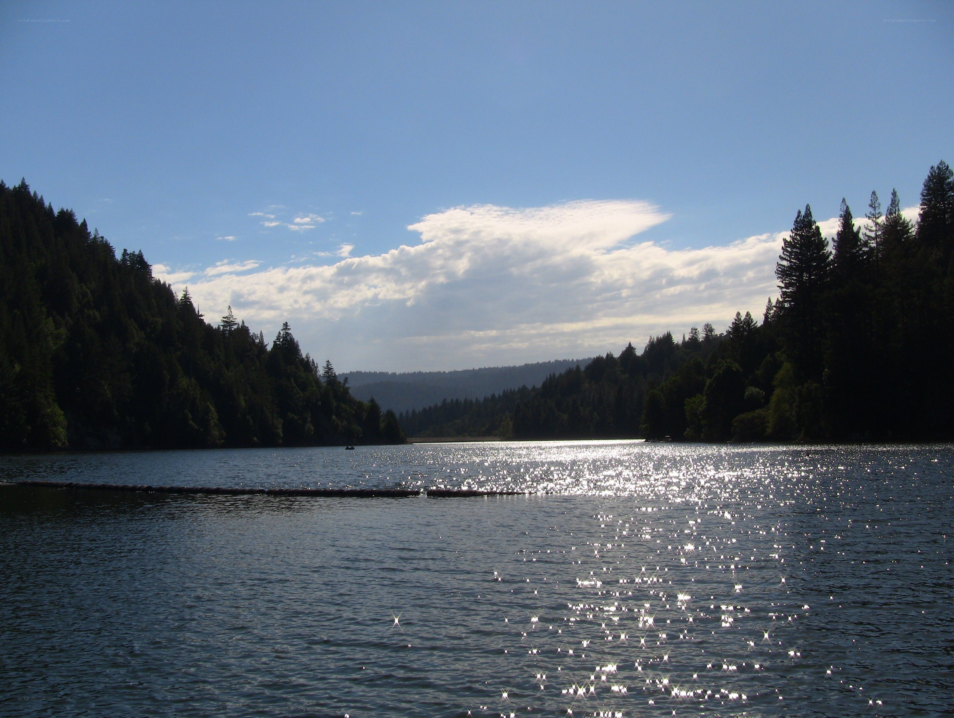 Lake with forested hills