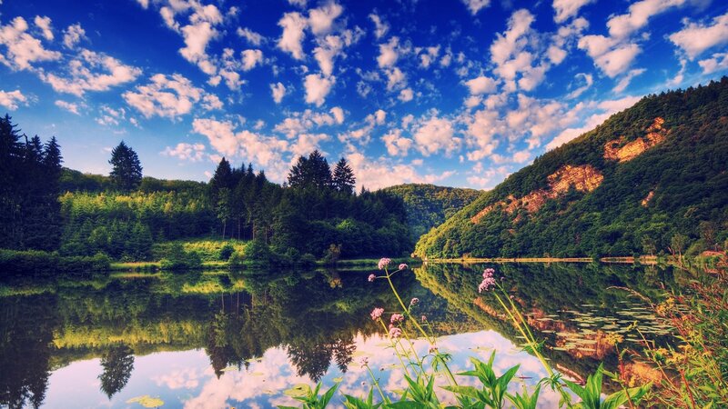 Lake with Forested Hills — Blue, Serene, Afternoon, Photograph, Trees, Flowers, Clouds