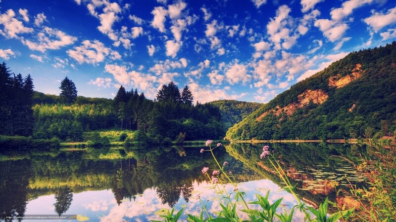 Lake with Forested Hills — Blue, Serene, Afternoon, Photograph, Trees, Flowers