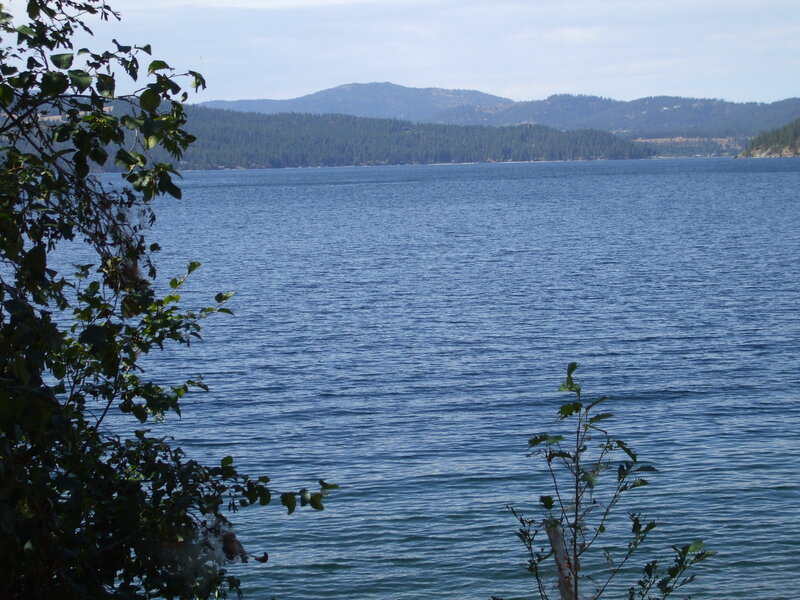Lake with Forested Hills — Blue, Serene, Afternoon, Photograph, Trees, Sky