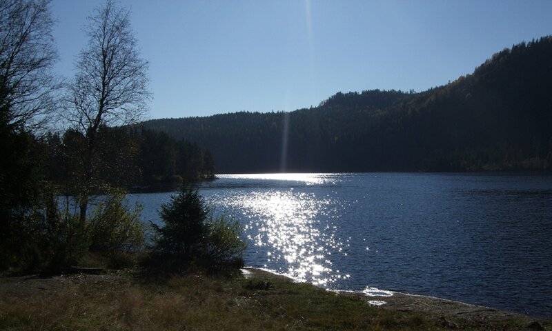 Lake with Forested Hills — Blue