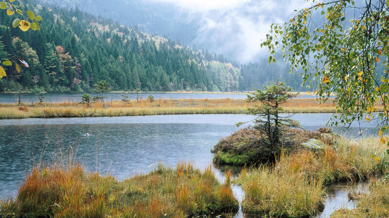 Lake with Forested Hills — Green, Serene, Autumn