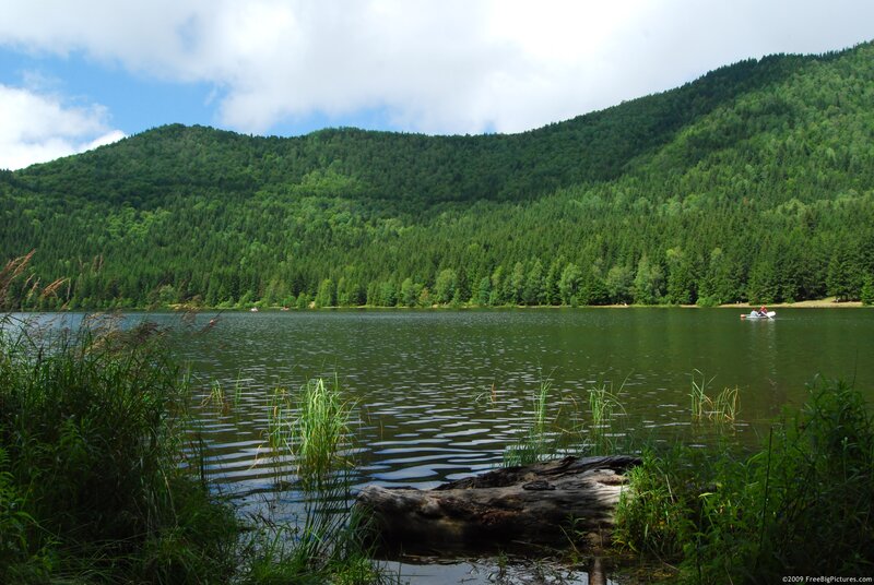 Lake with Forested Hills — Green, Serene