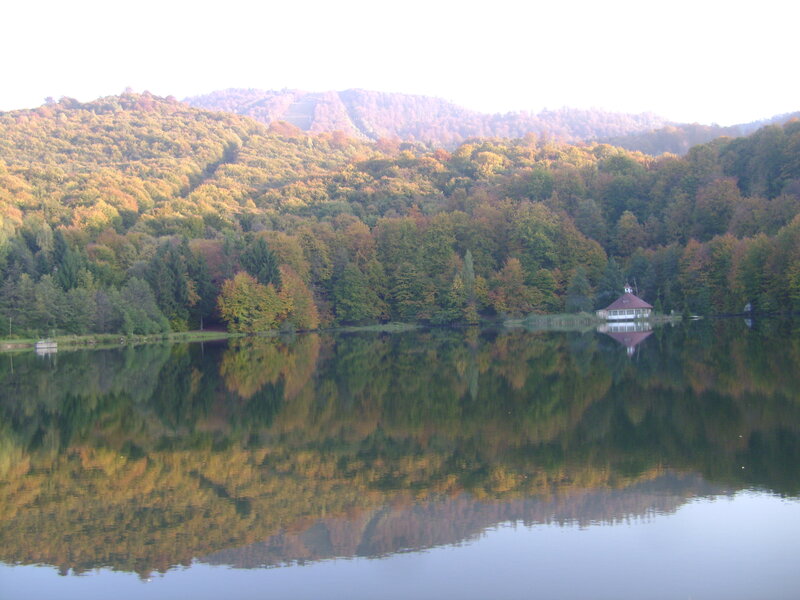 Lake with Forested Hills — Green