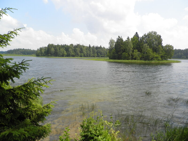 Lake with Forested Island — Green, Serene