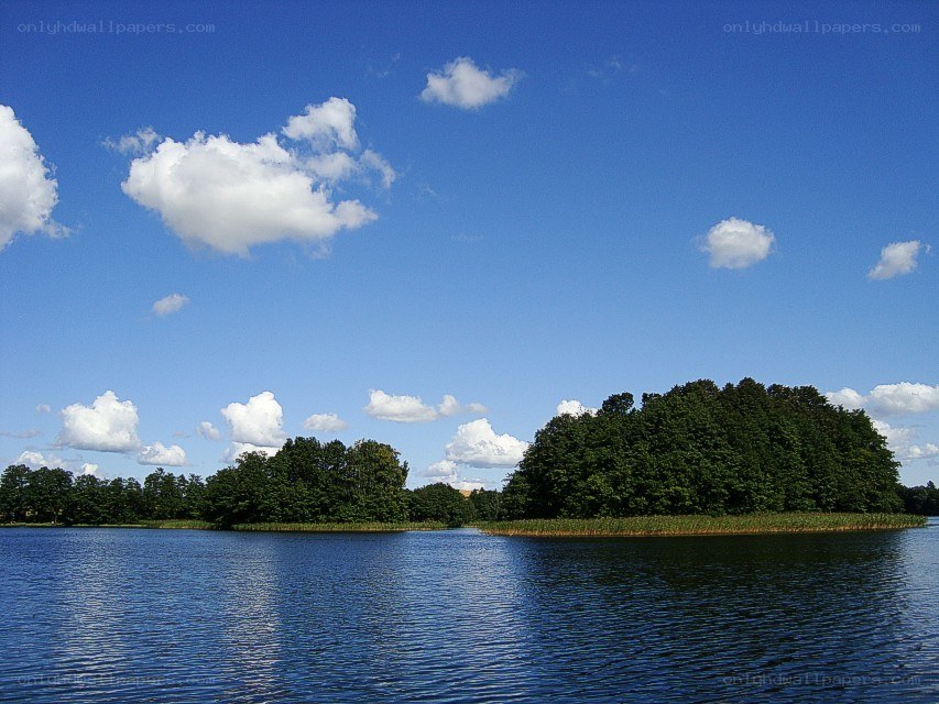Lake with forested island