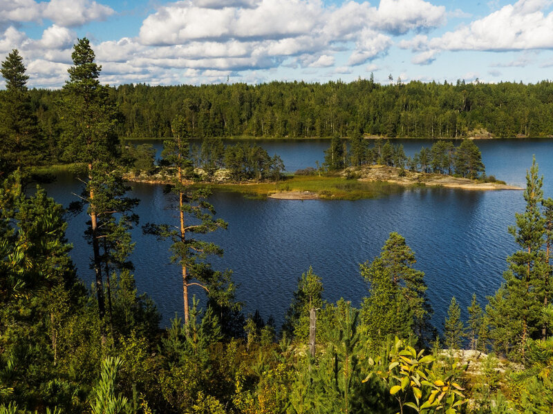 Lake with Forested Islands — Blue