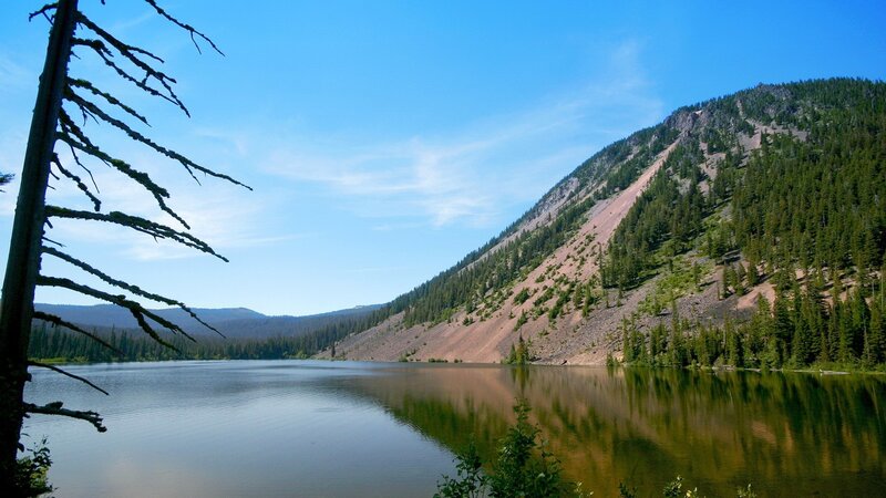 Lake with forested mountain