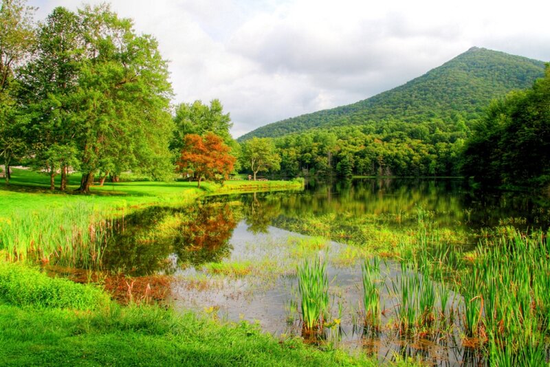 Lake with Forested Mountain — Green, Serene