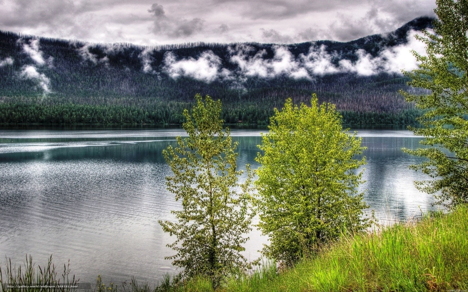 Lake with forested mountains