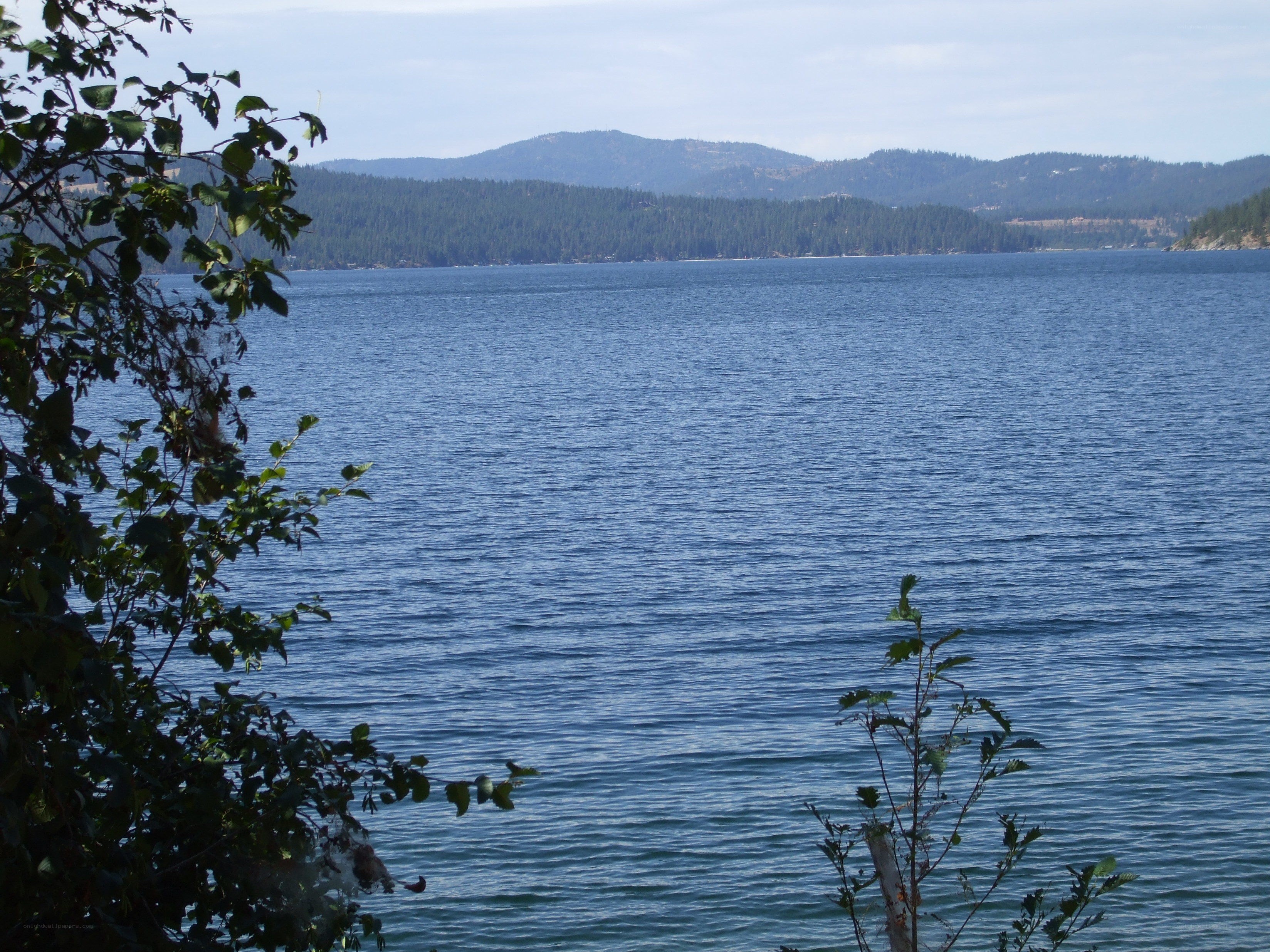 Lake with forested mountains
