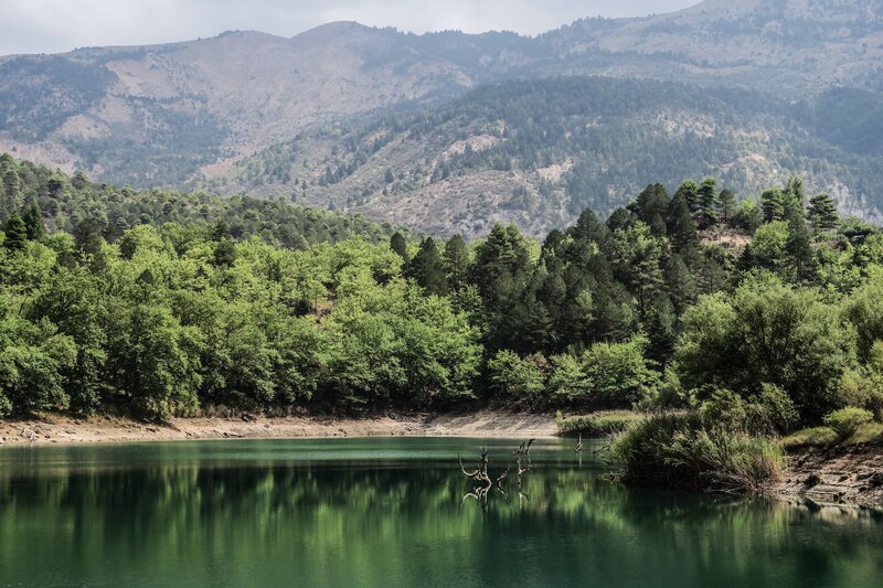Lake with Forested Mountains — Green, Serene, Afternoon, Photograph, Forest