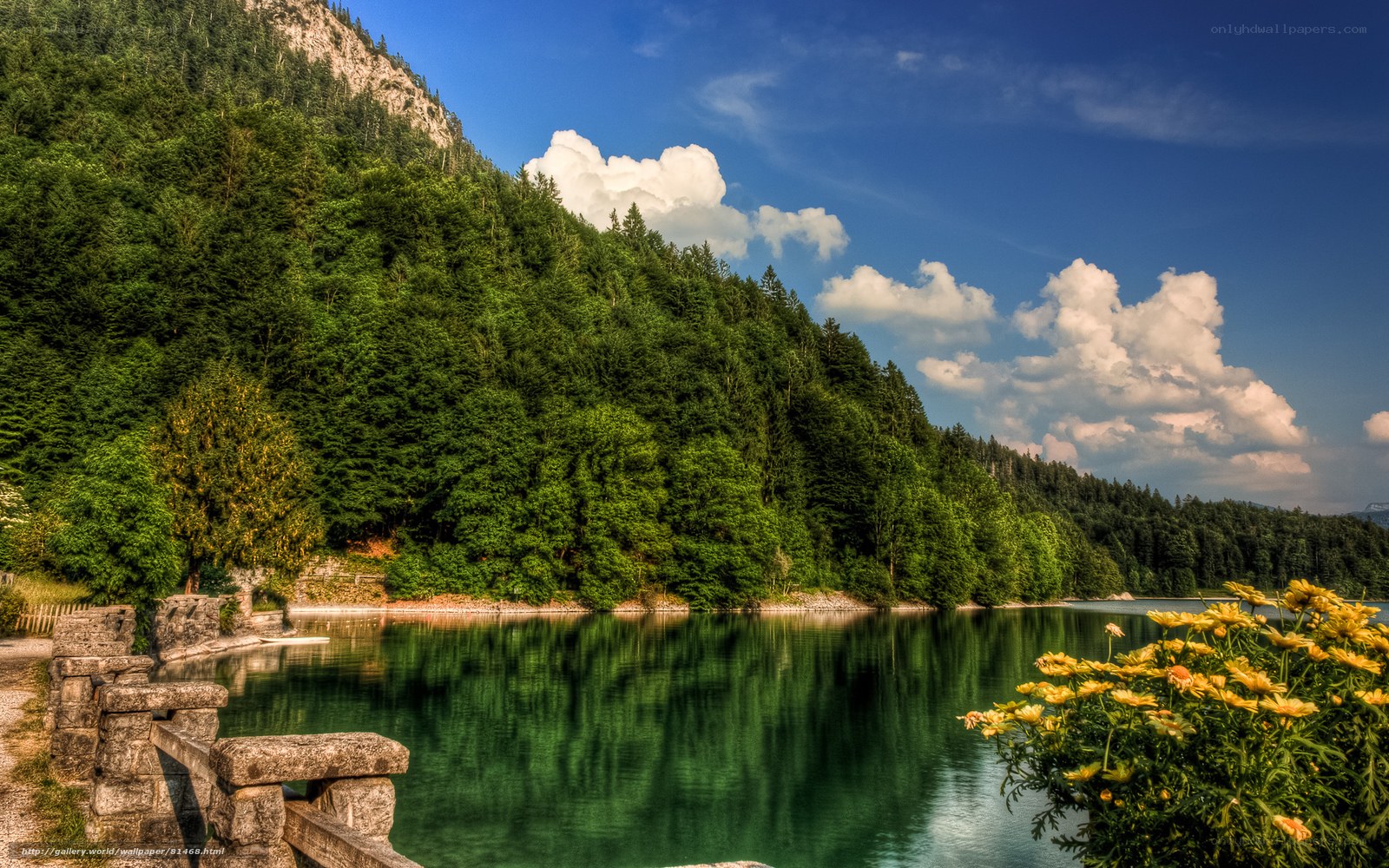 Lake with forested mountains