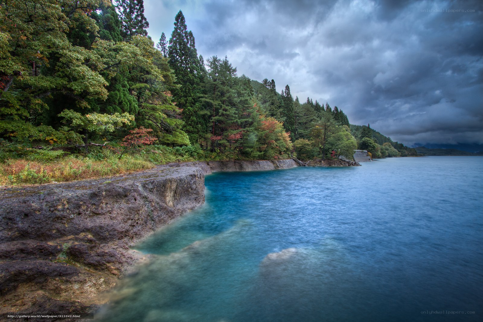Lake with forested shore