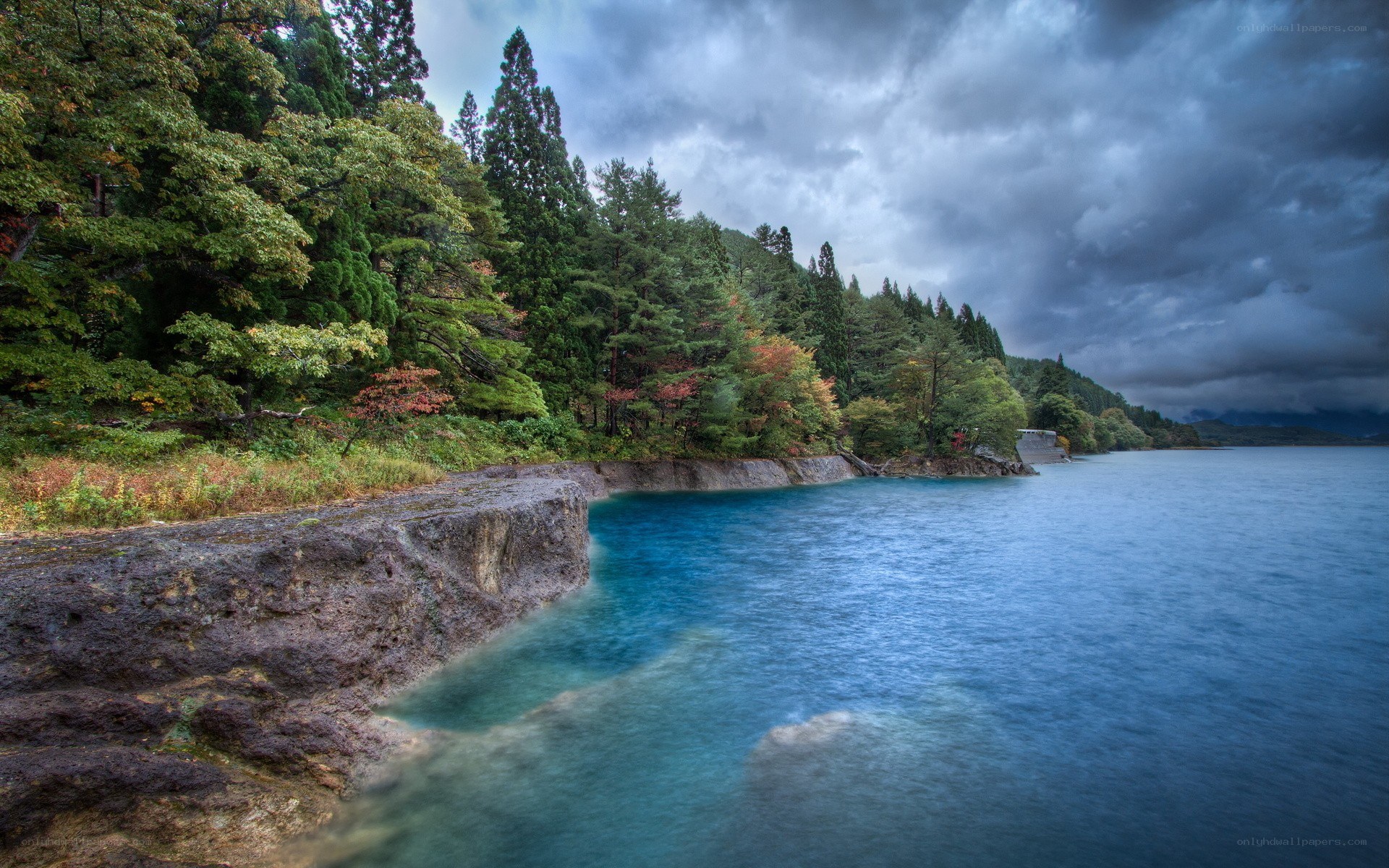 Lake with forested shore