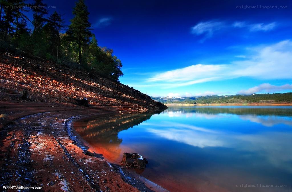 Lake with forested shore