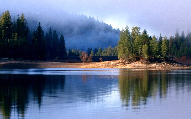 Lake with Forested Shore — Blue, Serene, Morning