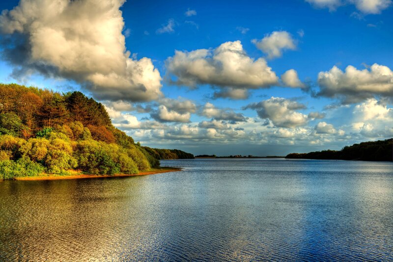Lake with Forested Shore — Blue, Serene