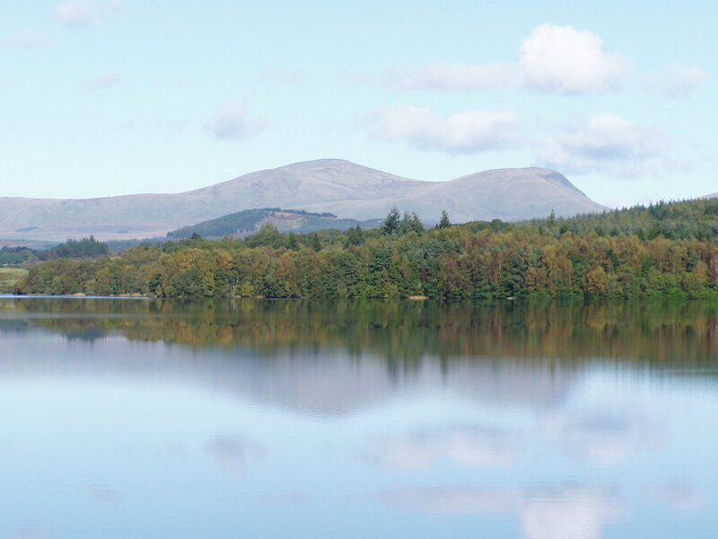 Lake with Forested Shore — Blue