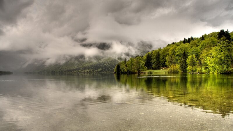 Lake with Forested Shore — Green, Dramatic, Morning