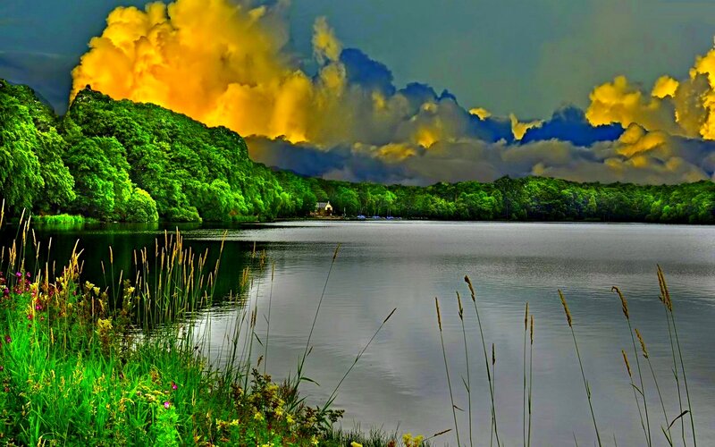 Lake with Forested Shore — Green, Dramatic