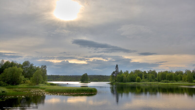Lake with Forested Shore — Green, Serene