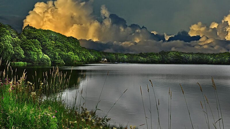 Lake with Forested Shore — Green