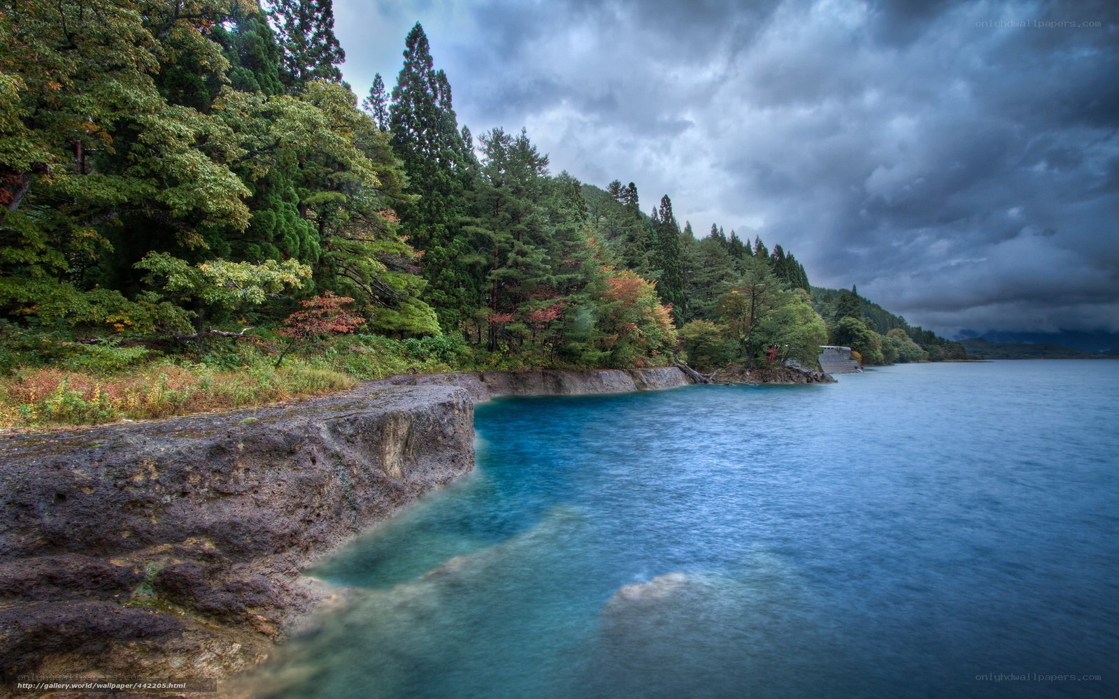 Lake with forested shore