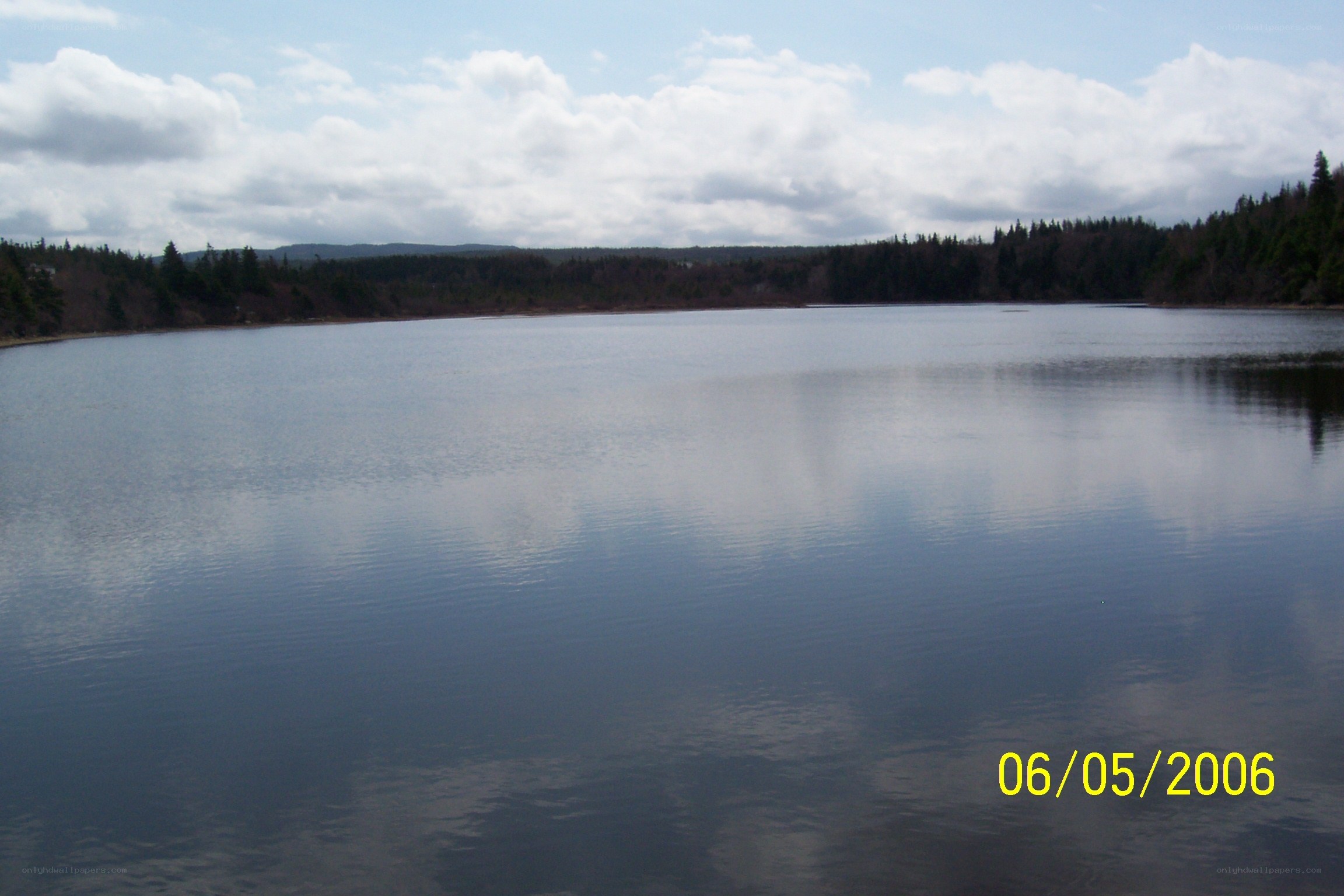 Lake with forested shoreline