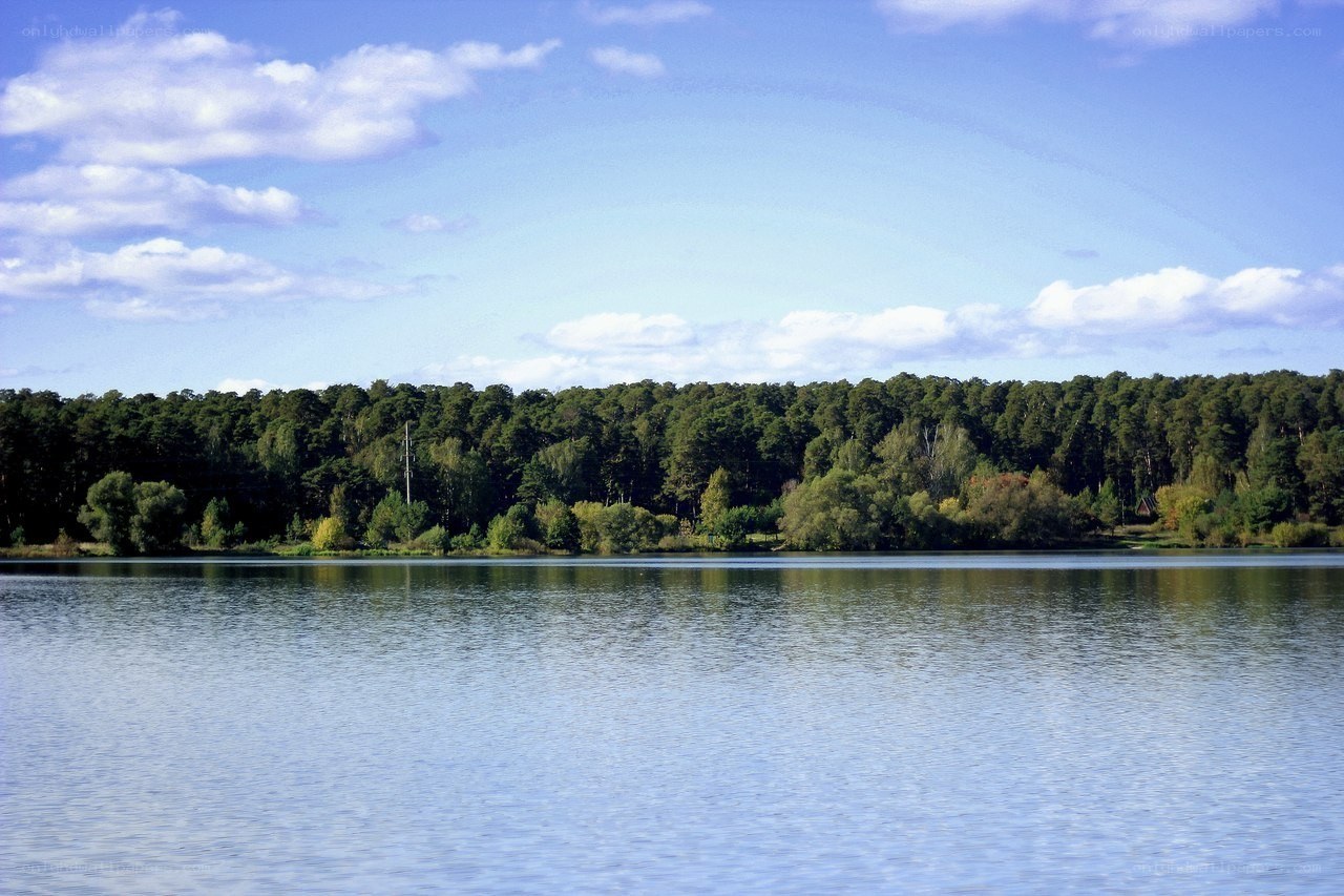 Lake with forested shoreline