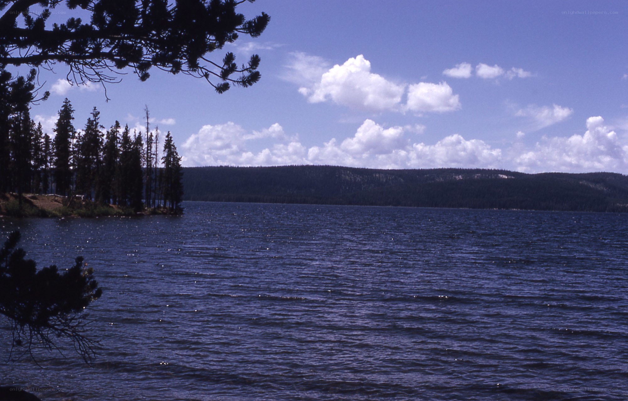 Lake with forested shoreline