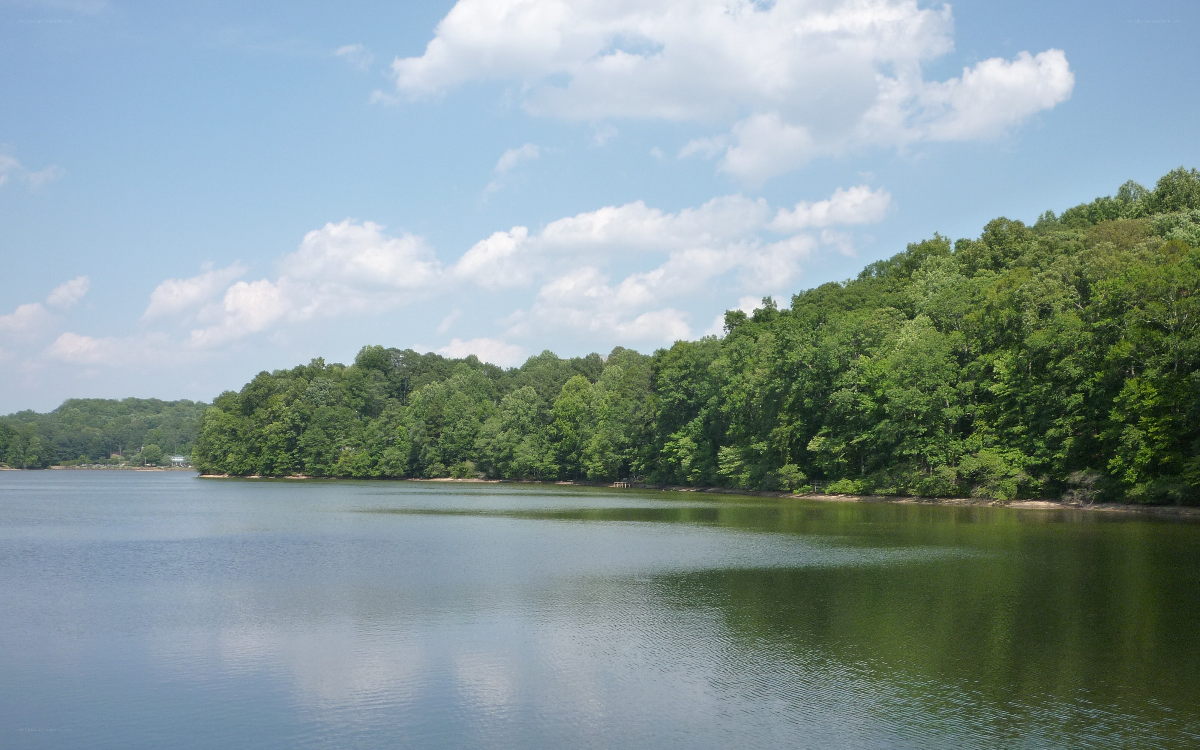 Lake with forested shoreline