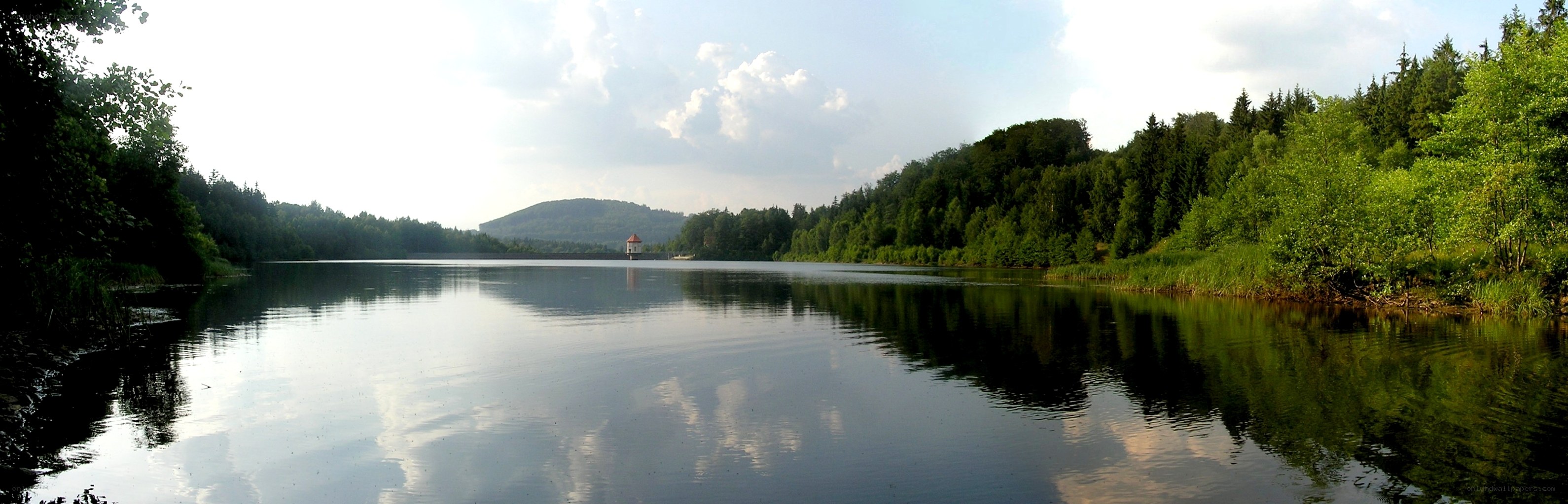 Lake with forested shores