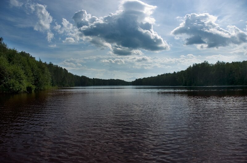 Lake with forested shores