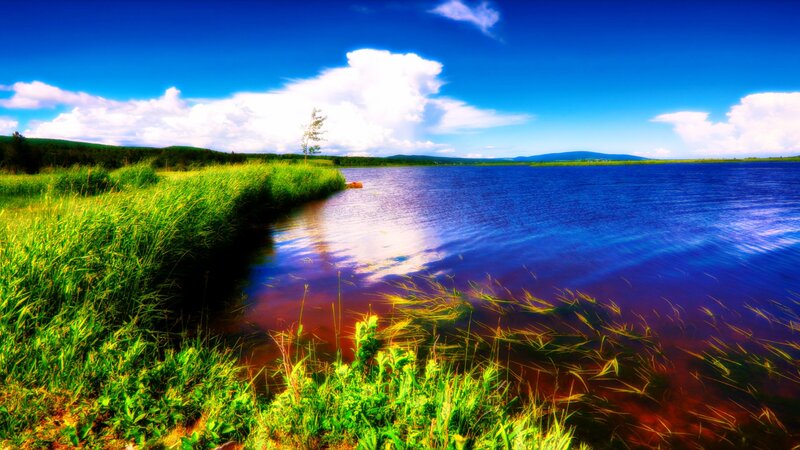 Lake with Grassy Shore — Blue, Serene, Afternoon