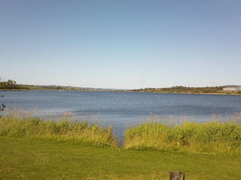 Lake with Grassy Shore — Green
