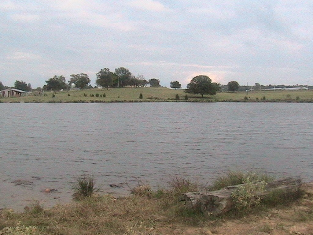 Lake with grassy shore