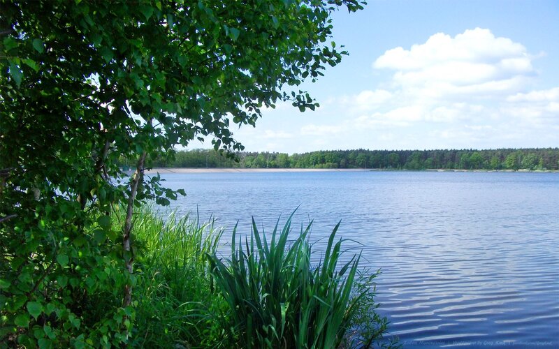 Lake with Green Foliage