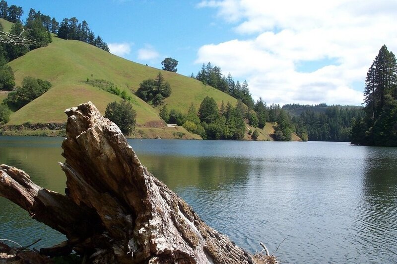 Lake with green hills and driftwood