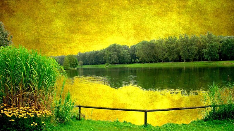 Lake with Green Reeds — Yellow