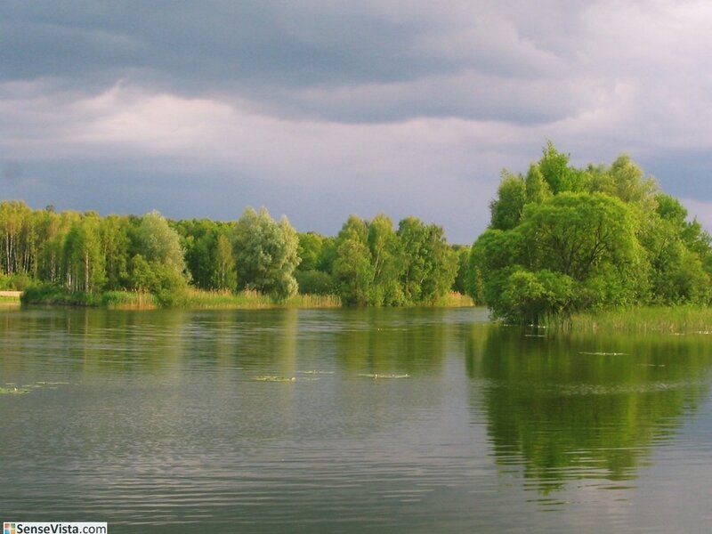 Lake with green trees and cloudy sky