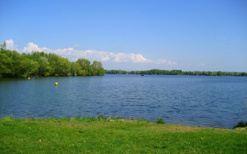 Lake with Green Trees — Blue, Serene
