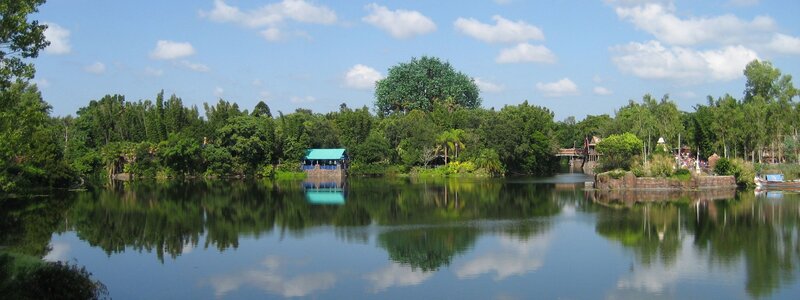 Lake with Green Trees — Serene, Afternoon