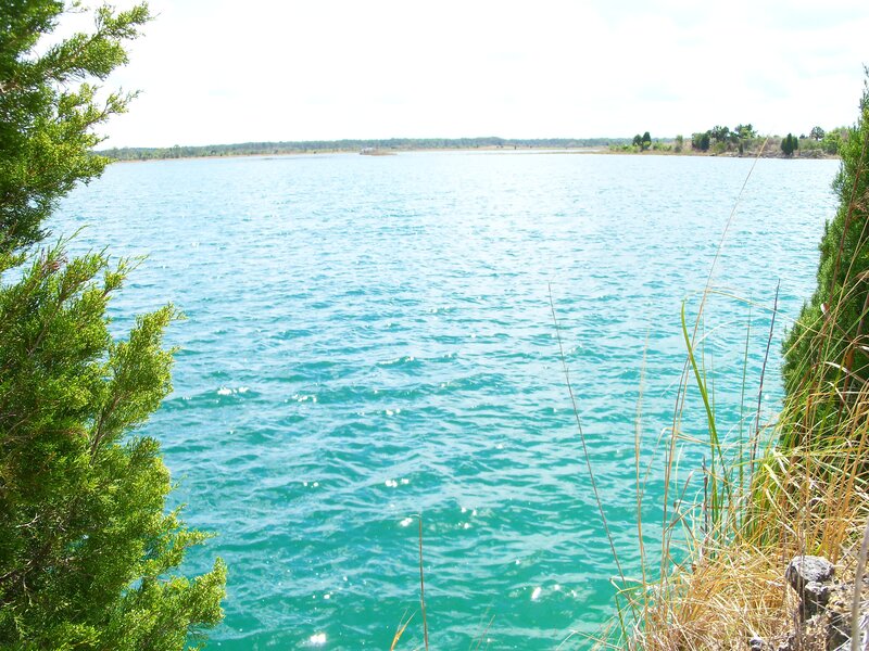Lake with green trees